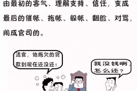 费县为什么选择专业追讨公司来处理您的债务纠纷？